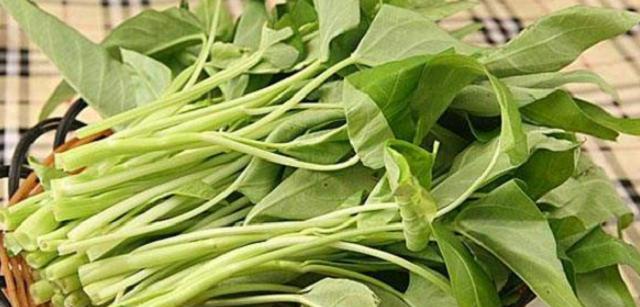通菜，春季的绿色食物（春天吃通菜）