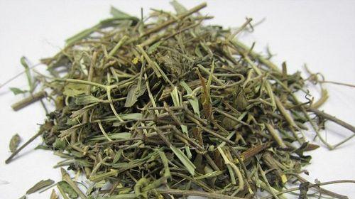 透骨草：农村的神奇植物