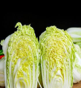 娃娃菜是什么（娃娃菜到底是不是白菜心）