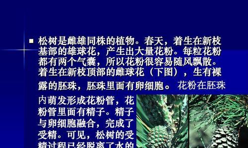 豌豆的性别是雌雄同株还是异株（解析豌豆的生殖方式和性别特征）