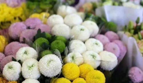 以风铃草的花语为主题的文章（聆听自然的声音）