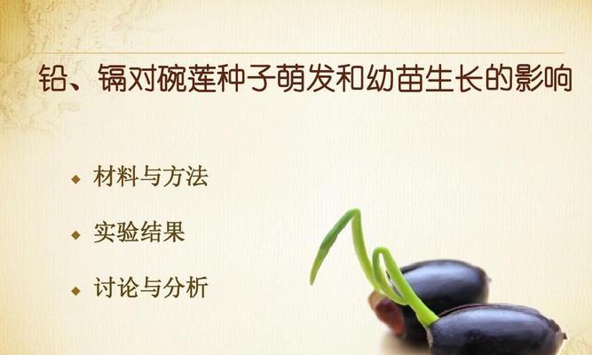 碗莲快速发芽的方法（掌握这些技巧）