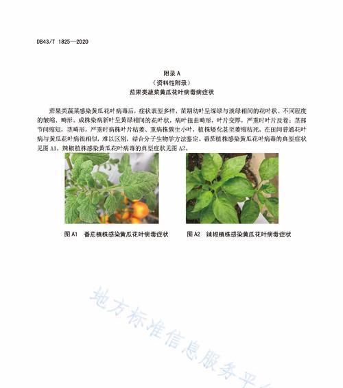 晚秋黄梨病虫害防治技术与方法措施（从预防到治疗）