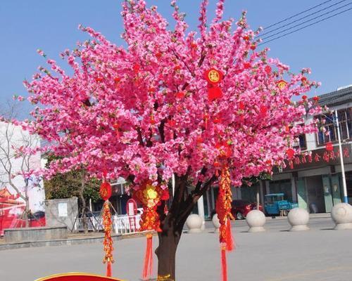 许愿树——希望与传说的象征（神秘而令人向往的自然奇观）