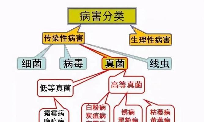 万年青黄叶病的预防和治疗方法（掌握关键知识）