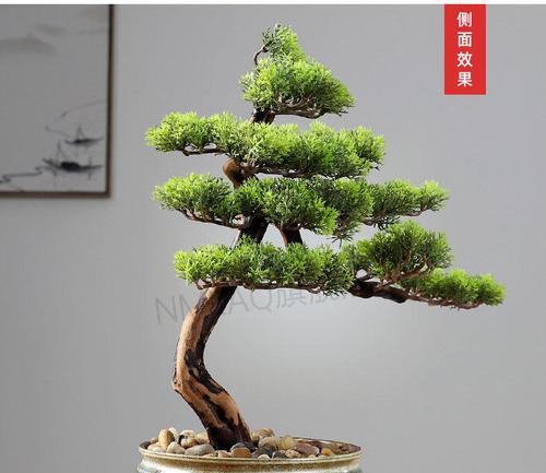 迎客松（探寻迎客松的象征意义和文化价值）