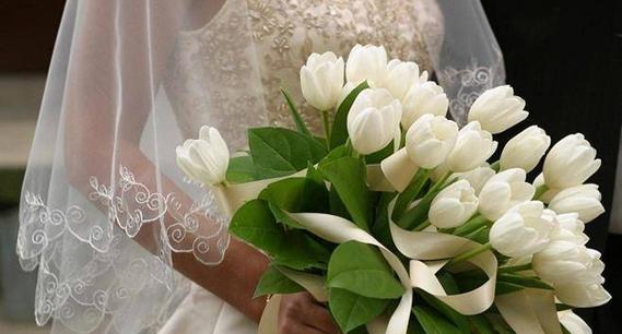郁金香花语解析（探秘郁金香的美丽与深刻寓意）