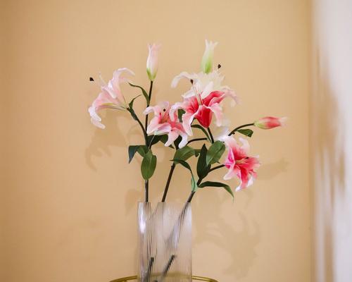 用寓意美好的百合花传递真挚情感（适合送给哪些人）