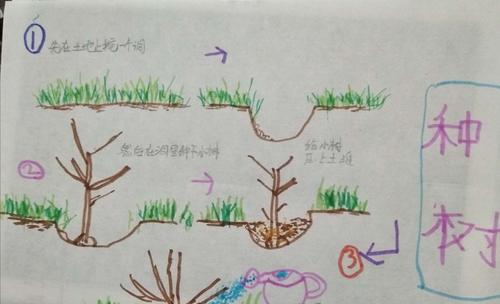 万重山浇水全攻略（正确浇水时间和方法）