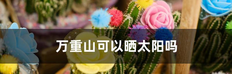 万重山的适光环境研究（揭秘万重山喜阳还是喜阴的真相）