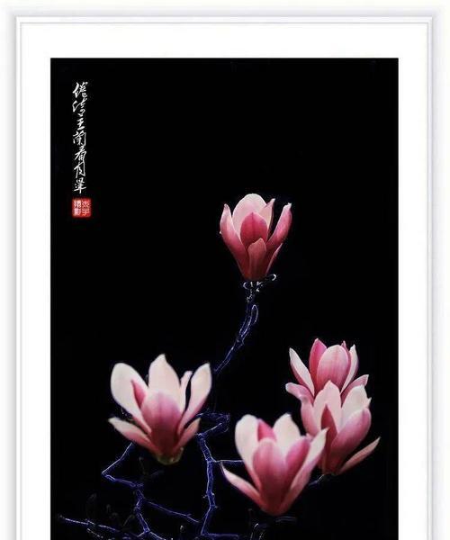 倦倚玉栏，感叹月晕之美（语低香近）