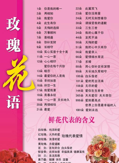 卡罗拉玫瑰花语的美丽传说（绽放于心间的爱的誓言）