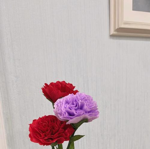 康乃馨花的含义与象征（探寻康乃馨花的浪漫情感世界）