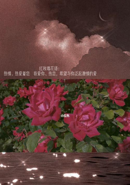 探寻肯尼亚红玫瑰的花语之美（肯尼亚红玫瑰）