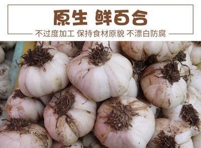 百合含糖量高，是不是要少吃？