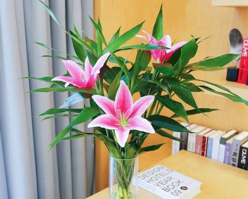 百合花能否放在空调房（关于百合花的养护与注意事项）