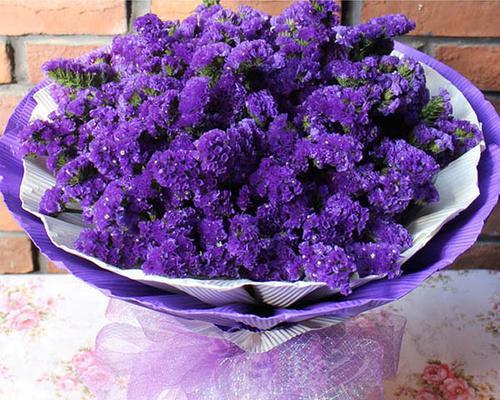 满天星勿忘我花语与美好祝福（花开花落间）