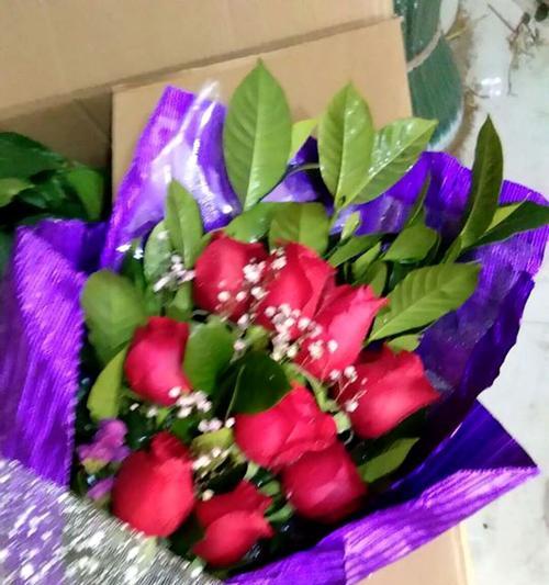 玫瑰花在西方文化中的象征意义（爱情）