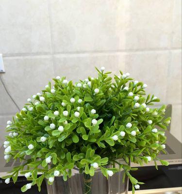 米兰花（花开如意）