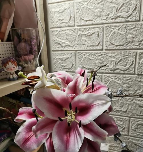 三头百合花语（探寻三头百合花语的含义与象征）