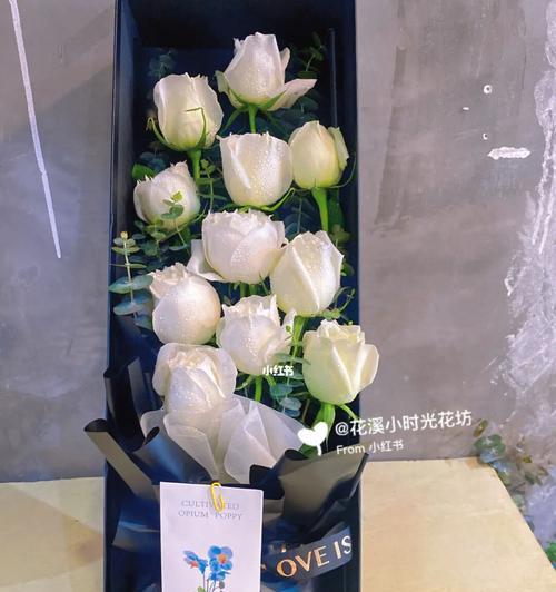白玫瑰花语之纯洁的爱（探寻白玫瑰的花语含义与象征意义）