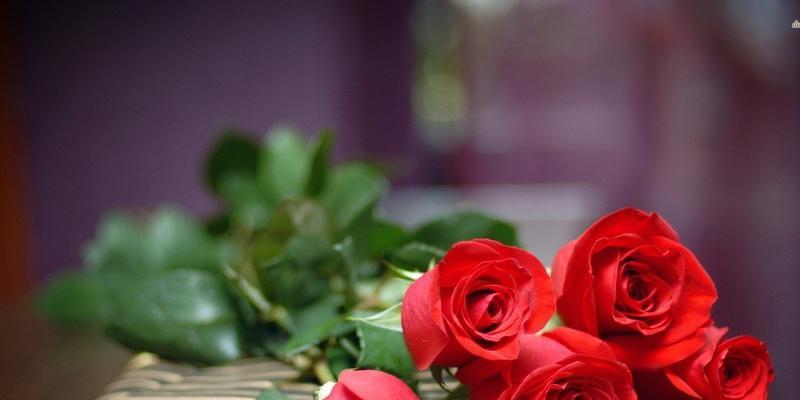 11朵玫瑰花的寓意（花语中的爱情寓意）