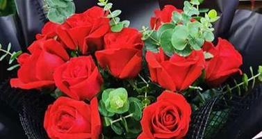 11朵玫瑰的花语含义——传递爱情的绝佳方式（爱恋之花11朵玫瑰）