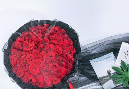 玫瑰花语之13朵玫瑰的代表意义（了解玫瑰花语）