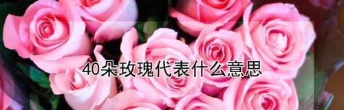 17朵玫瑰的寓意（生命之花的象征与意义）