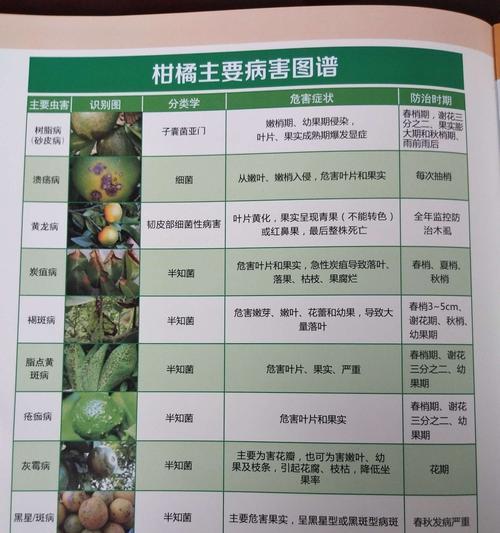 百香果病虫害防治技术与方法措施（打造健康的百香果园）