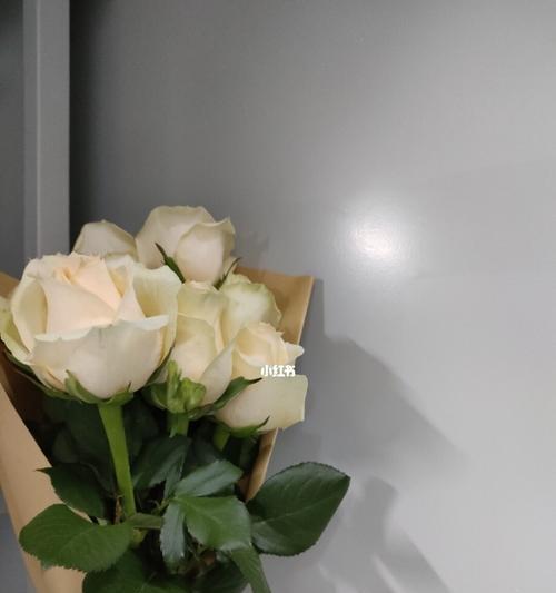 21朵香槟玫瑰的花语（当爱和美的象征相遇）