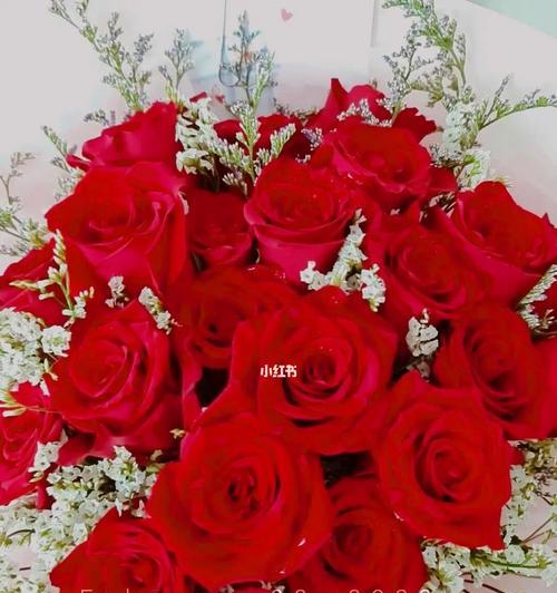 22朵玫瑰花语（爱情的始点）