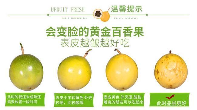 百香果的适宜浇水时间与方法（不同季节需要调整的浇水频率与技巧）