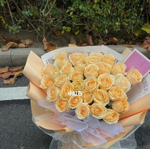 33朵香槟玫瑰的花语与意义（探究33朵香槟玫瑰的神秘之处）