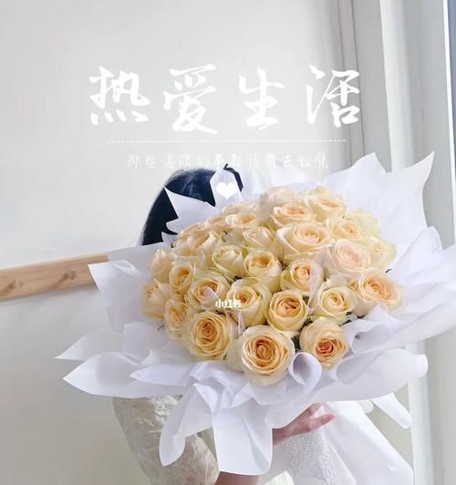 33朵香槟玫瑰的花语与意义（探究33朵香槟玫瑰的神秘之处）