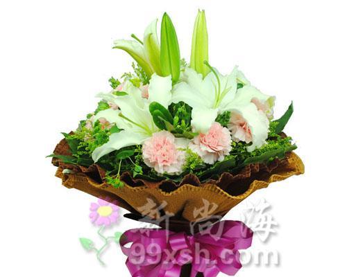康乃馨的象征意义与寓意（以3朵康乃馨探寻爱情）