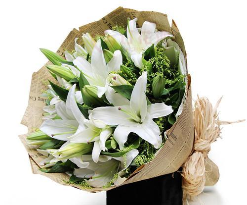 白百合的花语——纯洁与无私之美（探索白百合的花语）