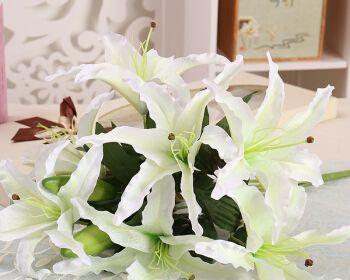 白百合花的象征意义及美丽之谜(揭秘白百合花的心灵意义与传说) 白百合花的象征意义及美丽之谜(揭秘白百合花的心灵意义与传说)