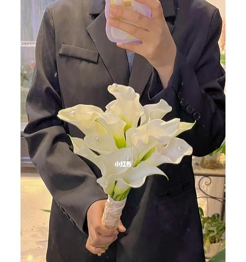白马蹄莲，花开寄托的美好（宁静高洁的花语传递着喜悦与坚持）