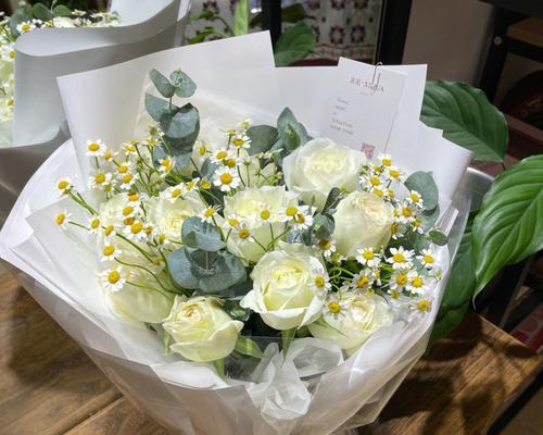 白玫瑰11朵花语（以白玫瑰花语为主题的爱情故事）
