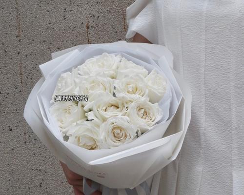 白玫瑰花的代表意义（纯洁无瑕的白色情感之花）