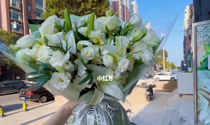 白色桔梗花的美丽与寓意（花开如雪）
