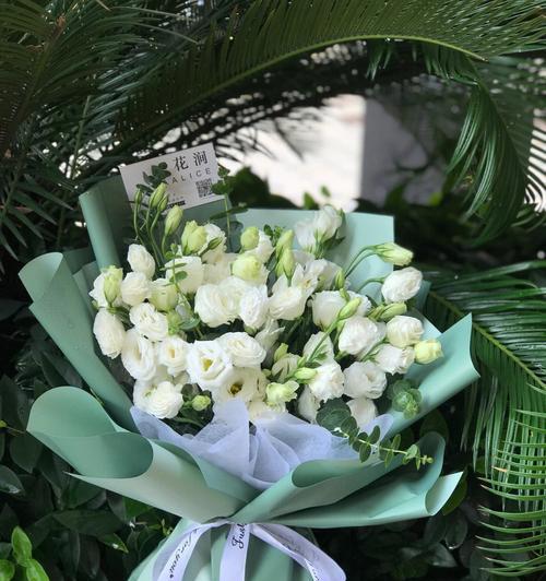 白色桔梗花的美丽与寓意（花开如雪）