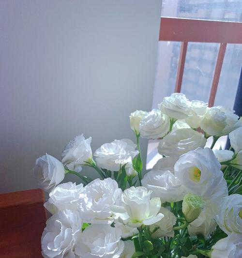 白色桔梗花的美丽与寓意（花开如雪）