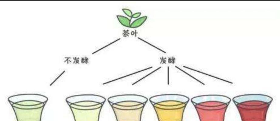 怎样正确浇水给柏树（浇水时间和方法解析）
