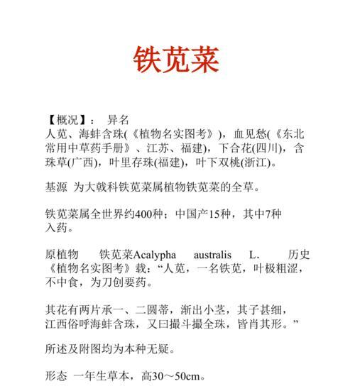 斑地锦——营养丰富的健康佳品（探秘斑地锦的功效与作用）