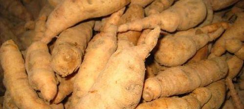 斑马豆的功效与作用（发现健康生活的新选择）
