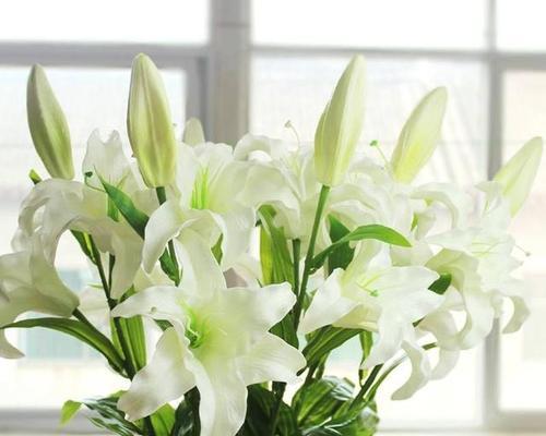 百合花的象征意义（百合花的花语与文化内涵）
