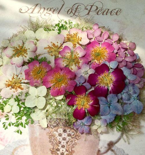 宝石花（宝石花的花语与传说）