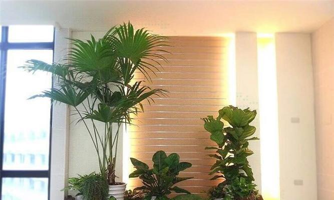 办公楼大厅植物布置指南（打造绿色舒适的办公空间）